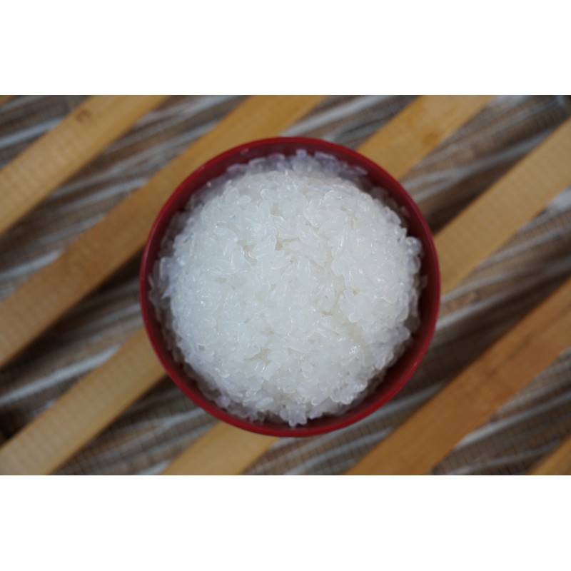 Food & Nutrition