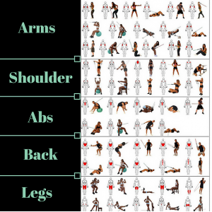 Lifestyle & Fitness