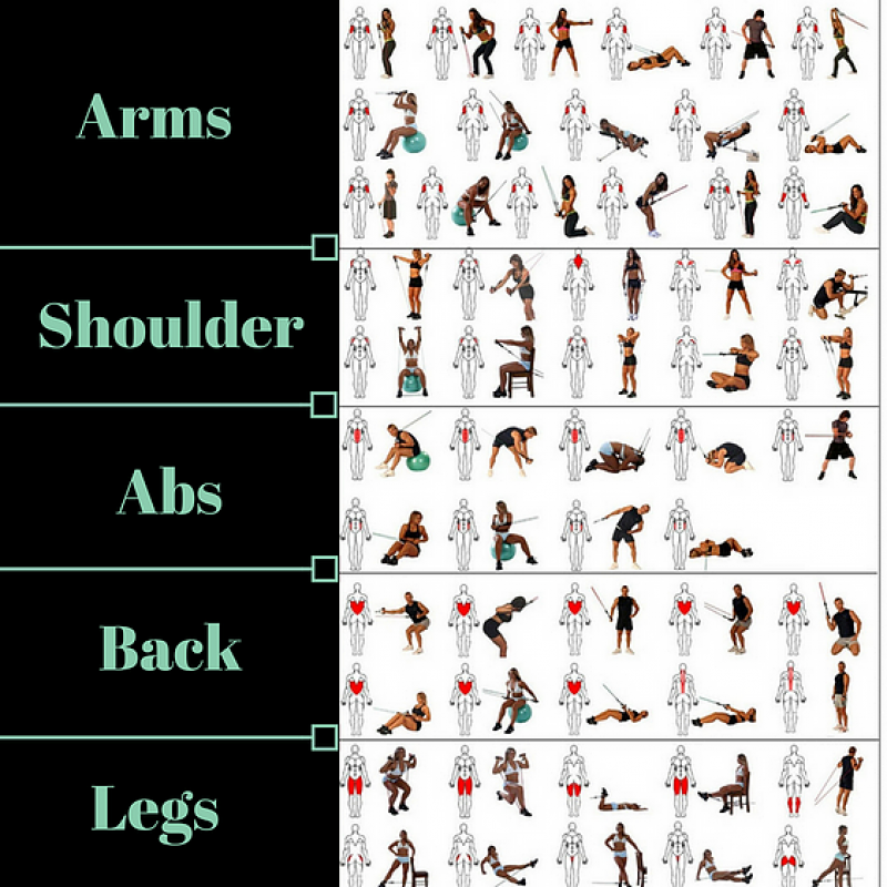 Lifestyle & Fitness