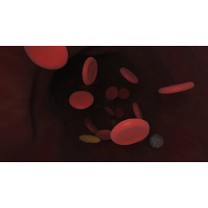 Medical Care