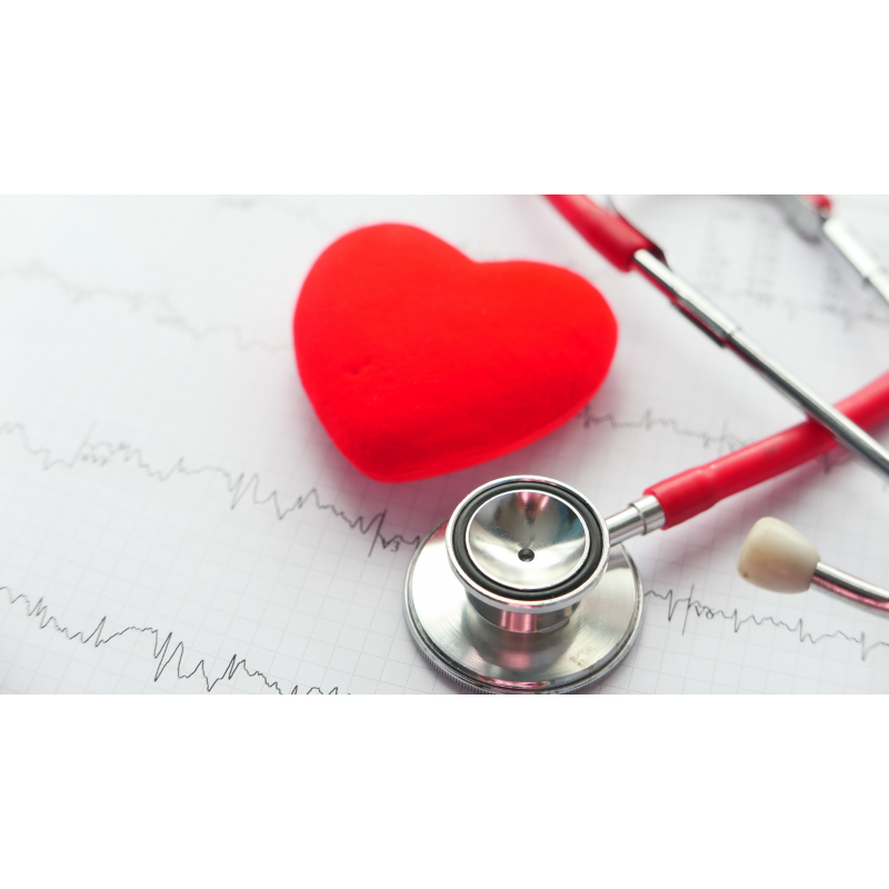 Medical Care