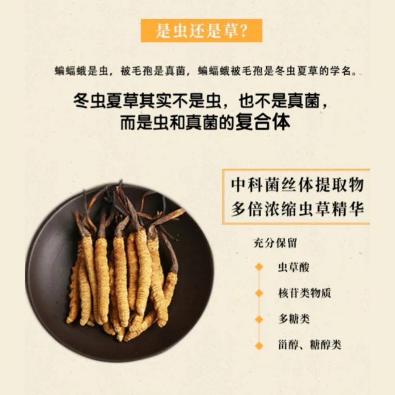 Herbs & Supplements